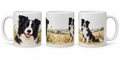 Collie